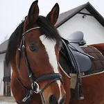 Pyszna Stajenka Bakow (Cieszyn)