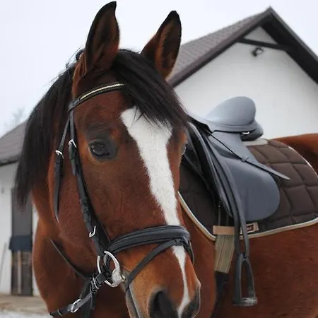 Pyszna Stajenka Bakow (Cieszyn)