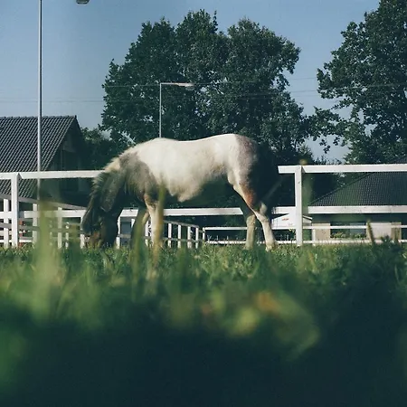 게스트하우스 Pyszna Stajenka