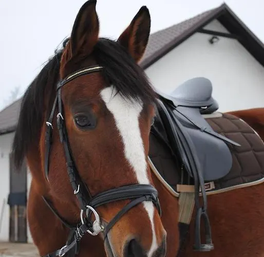 Pyszna Stajenka Bakow (Cieszyn)