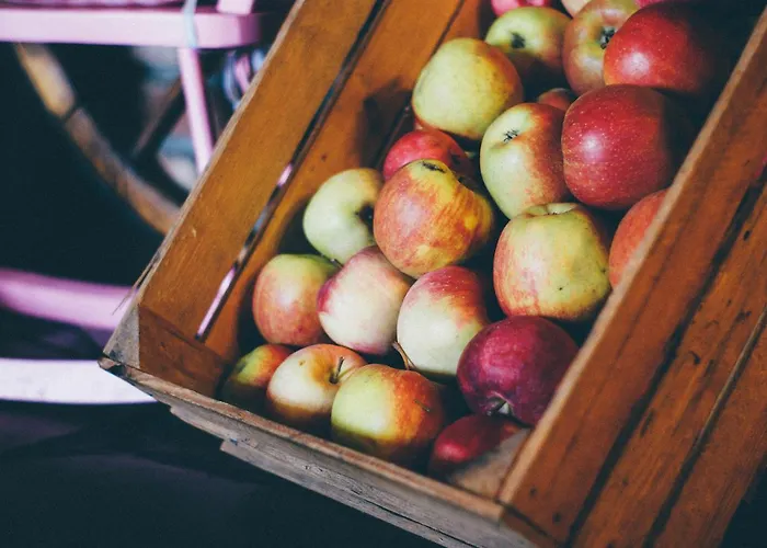Penzion Pyszna Stajenka Bakow (Cieszyn)