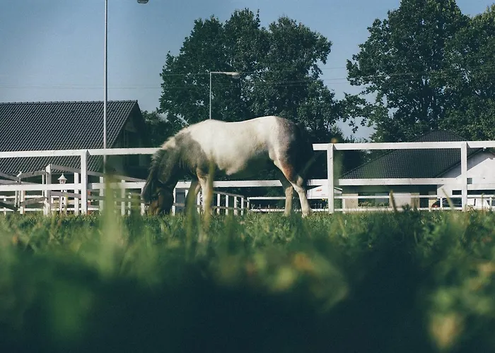 Guest house Pyszna Stajenka